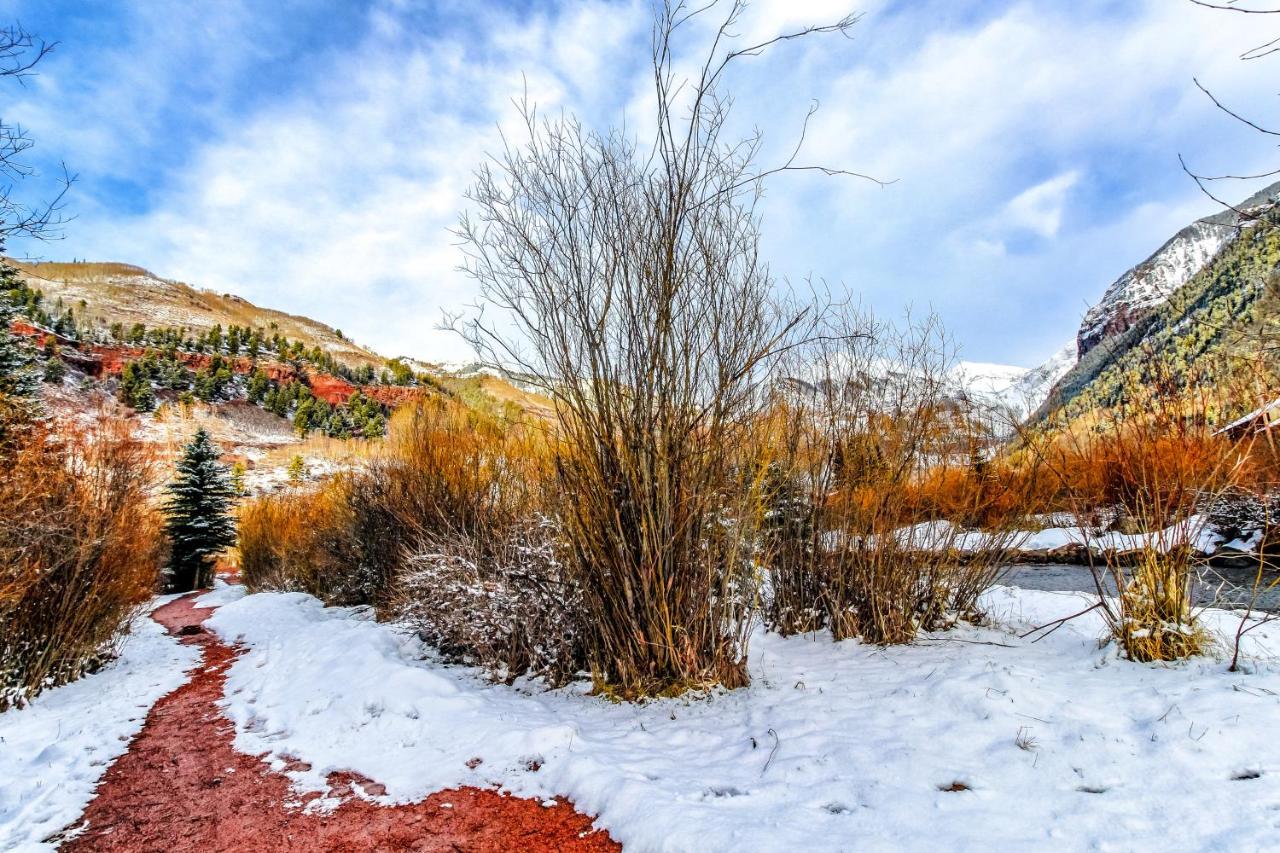 טלורייד Mountain Lodge חדר תמונה